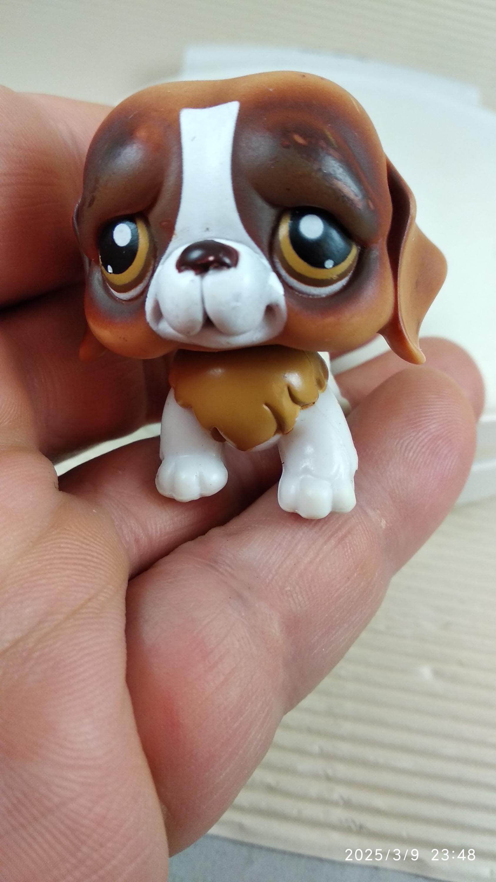 Figurine Littlest Pet Shop - Chien Saint-Bernard #229, Occasion Sympa Pour Collection