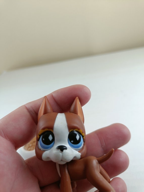 Lps blue dog 2025