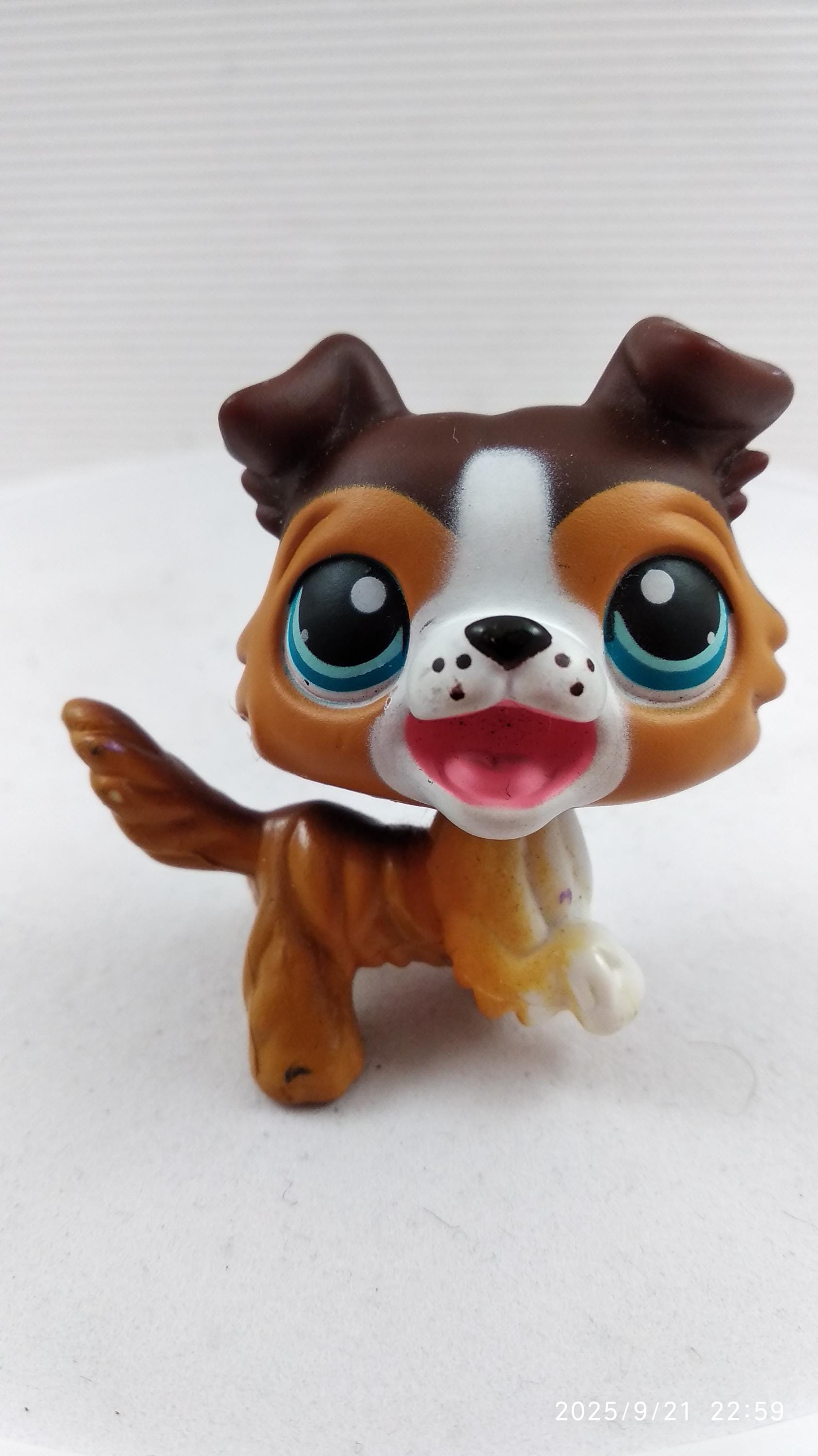 MY LITTLEST PETSHOP Pet Shop LPS Authentic Authentique Dog Collie Colley 1723 EUR 18,00 - FR