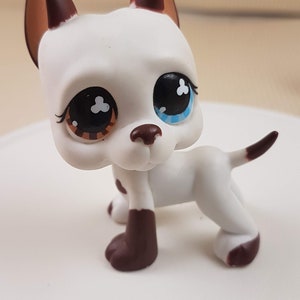 A1 FIGURINE PETSHOP LITTLEST PET SHOP CHIEN DOG PERO GROS YEUX