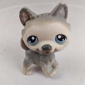 Littlest Pet Shop #69 Grauer Husky Hund stehend blaue Augen