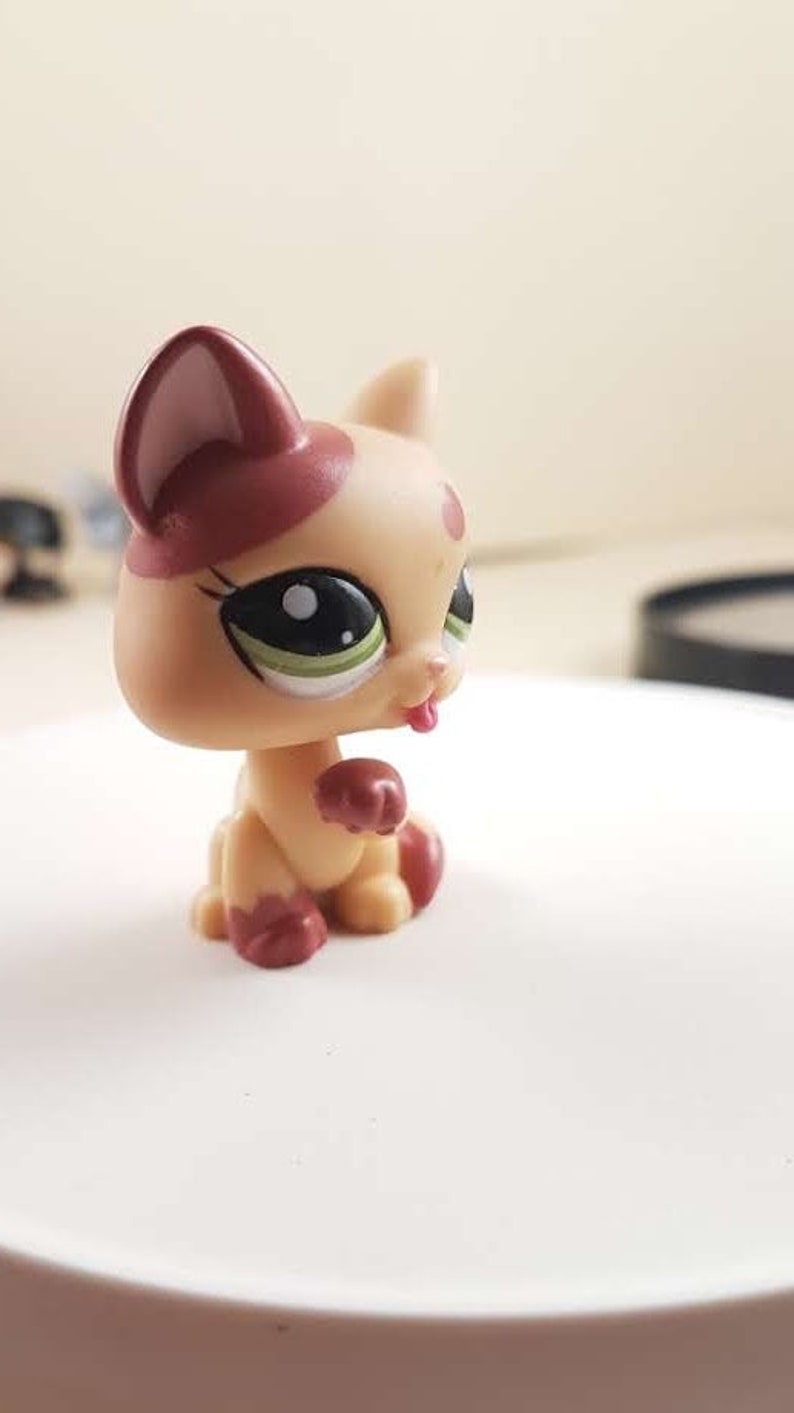 CAT 2355 Authentic Littlest Pet Shop Hasbro LPS Etsy