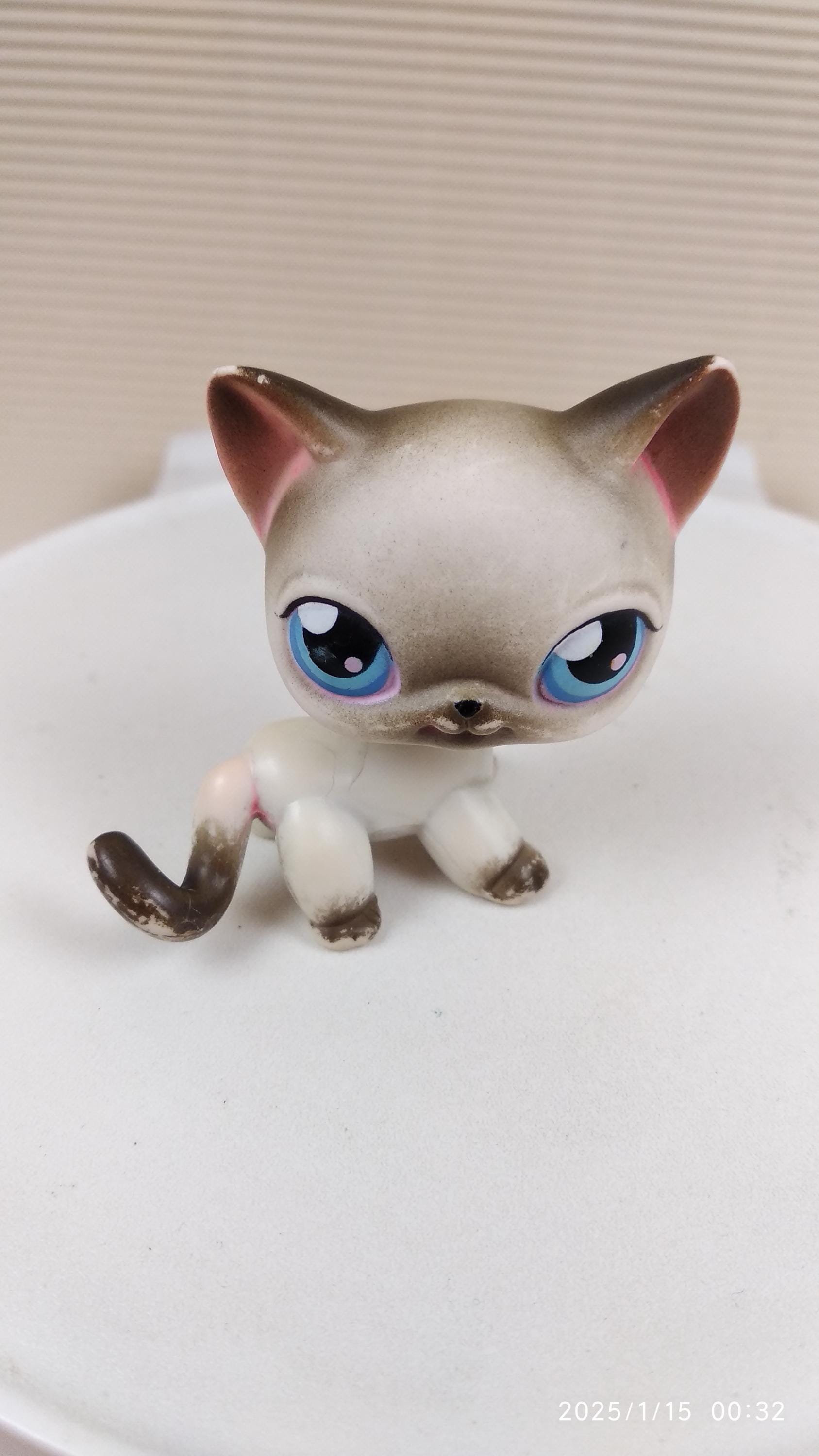 Littlest Pet Shop LPS*SIAMESE Cat*#5*kitten*shorthair*gray