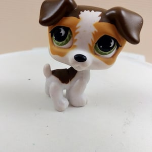 LPS  Littlest Pet Shop #803 Jack Russel Hasbro  Collector Toys  Petshop