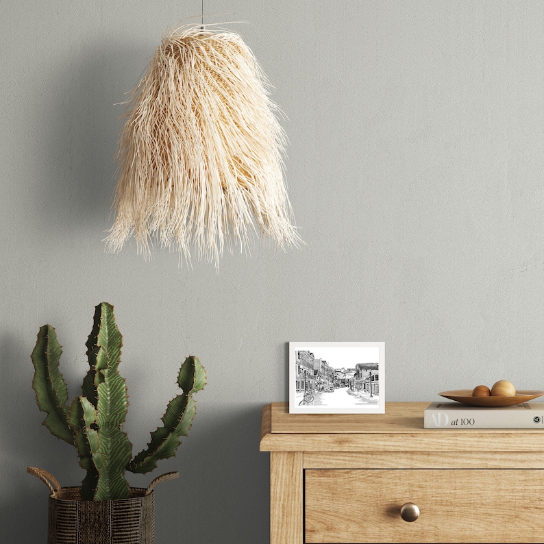 May include: A pendant light made of natural fibres hangs above a wooden bedside table. A framed black and white street scene and a cactus in a woven basket are also visible. The light fixture has a shaggy, fringed appearance.