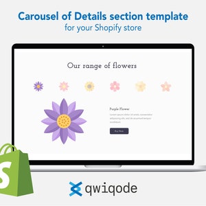Section Shopify préconstruite personnalisable : modèle de section carrousel de détails pour votre thème Shopify