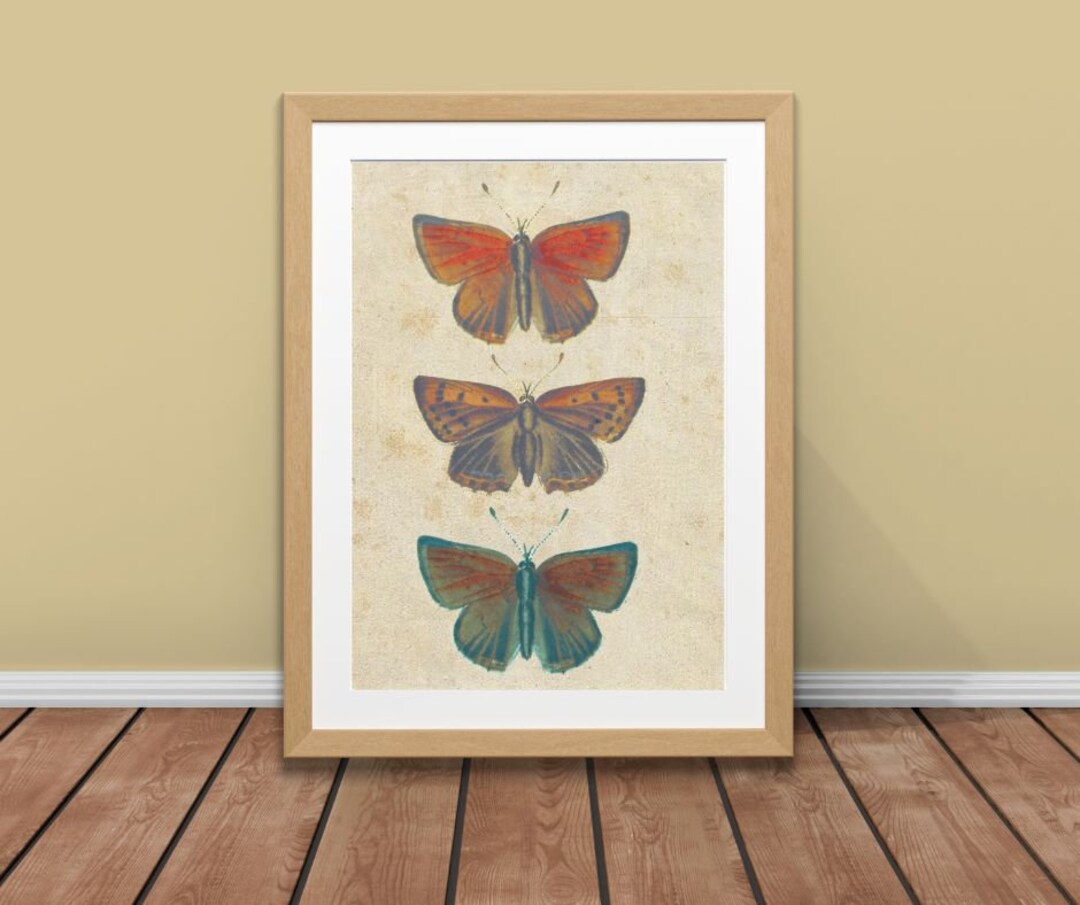 Vintage Butterfly Printable Art Etsy Vintage Butterfly Printable Art Etsy