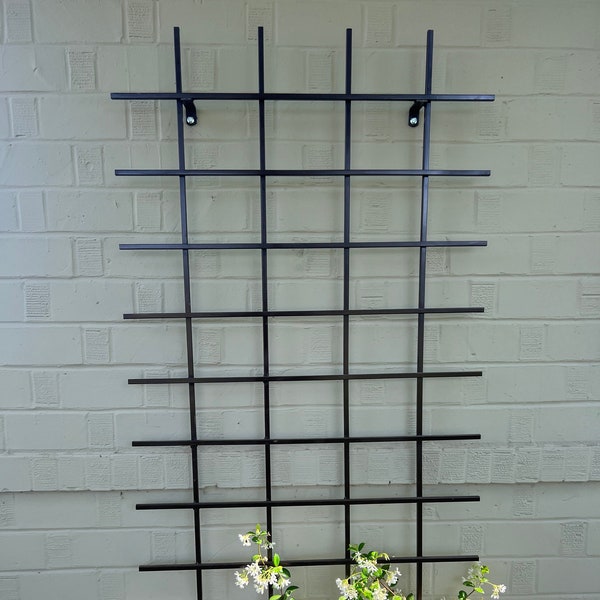 Wall Mount Metal Garden Trellis 72x36" Perfect for Your Blooming Vines! **ONLY servicing AZ at this time.