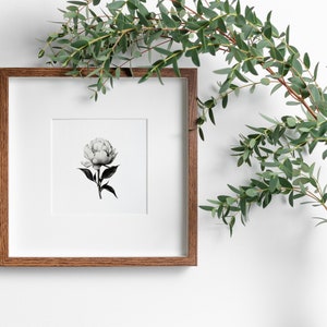 Blumen Skizze | Botanische Skizzenkunst | Bauernhaus Küche Dekor | DRUCKBARE Digital Download | Einfarbiges Wohnkultur