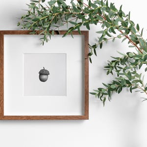 Neutrale Eichel Skizze, Rustikaler Winter druckbare Kunst, Vintage-Stil Bleistift Zeichnung, Eichel Skizze, Natur Poster