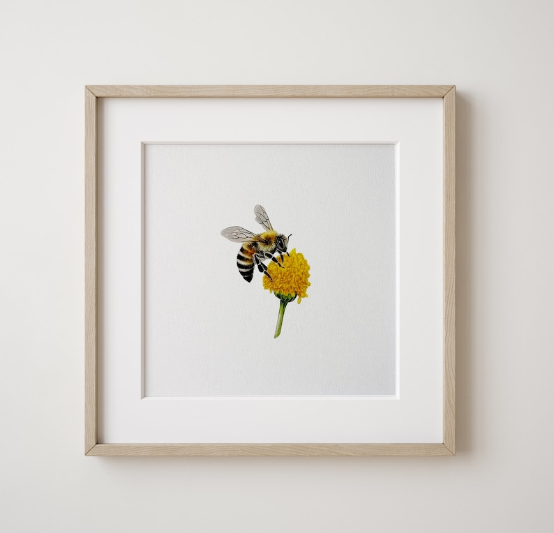Honey Bee Sketch Print Set of 2, INSTANT Digital Downloadable Art, Bees ...