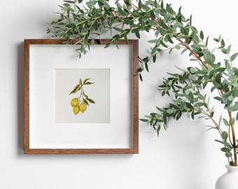 Estampa de limão, Decoração de cozinha, Pintura em aquarela de ramo de limão, Botânica, Arte de parede imprimível com frutas cítricas.