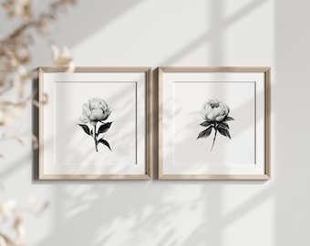 May include: Two framed black and white illustrations of peonies. Each illustration features a single peony with leaves and a stem.