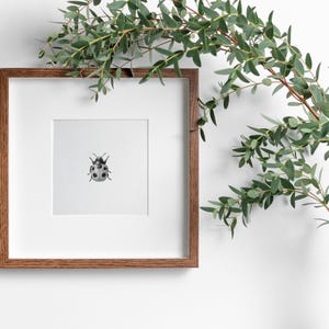 以下が含まれることがあります： 白い壁に、茶色の木製の額縁に入った、黒と白のテントウムシのイラスト。白い花瓶にユーカリの枝が挿してある。
