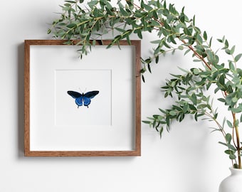 May include: A framed print of a blue butterfly with white spots on its wings. The print is in a brown wood frame and is hanging on a white wall.