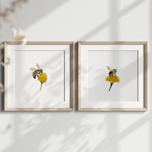 Honey Bee Sketch Print Set of 2, INSTANT Digital Downloadable Art, Bees Artwork, Simple Bees Print, Minimalist Print