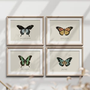 Butterflies Set of Four, Monarch Butterfly Watercolor Art Print, INSTANT Downloadable Art, Butterfly Illustration, Girls Country Nursery