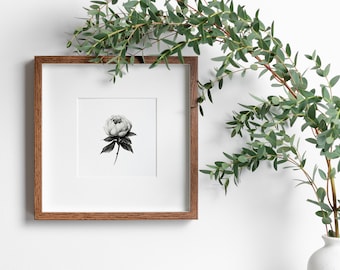 May include: A framed black and white peony flower art print. The artwork is in a brown wooden frame with a white mat. Green eucalyptus branches are draped over the frame and in a white vase.