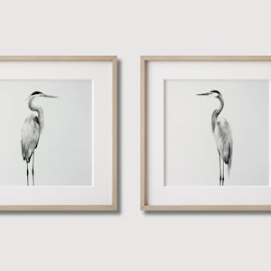 DRUCKBARE Reiher Art Print, Graureiher Bleistiftzeichnung, Vogel Skizze Wandkunst, Natur Wildtiere Poster, minimalistischen schwarz-weiß Druck