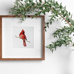 Mailed Art Print - Red Male Cardinal, Watercolor Print, Bird Painting, Birdwatcher Gift Birder Art, bird painting