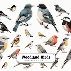 Recortes de aves del bosque: recortes imprimibles para diarios, álbumes de recortes, manualidades y proyectos de bricolaje