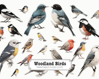 Recortes de aves del bosque: recortes imprimibles para diarios, álbumes de recortes, manualidades y proyectos de bricolaje