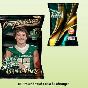 Personalized chip bags, birthday favors, party favors, Graduation theme, Graduation chip bags
