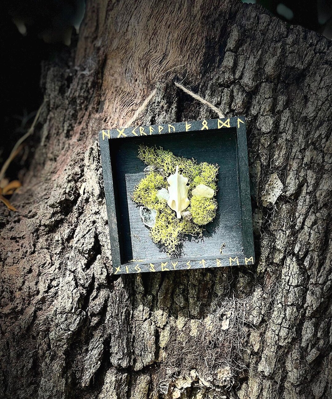 Runes & Bone - Etsy