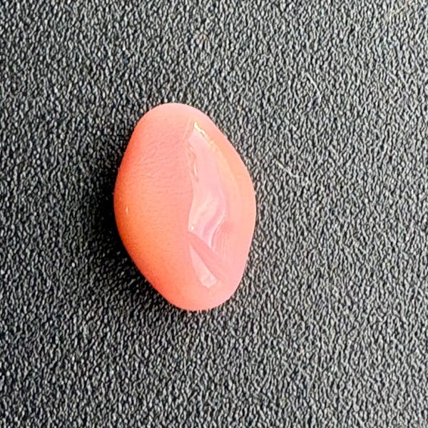 Queen Pearl, 2.83 Carats. GIA Certified conch pearl