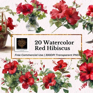 20 rote Hibiskus Bündel Clipart, transparente PNG, freie kommerzielle Nutzung, Planer, Karten, Junk-Journale, Scrapbooking, Hochzeit Clipart