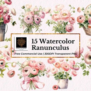 15 romige roze Ranunculus bloemen clipart, PNGs, gratis commercieel gebruik, bruiloft clipart, planners, kaarten, ongewenste tijdschriften, scrapbooking