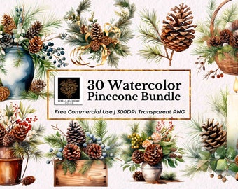30 Pinecone Bundles Watercolor Clipart, Transparent PNG, FREE Commercial Use, Christmas Holiday Clipart, Wedding, Planners, Journals, Cards