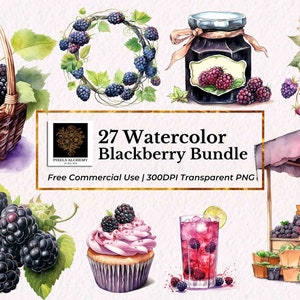 27 ブラックベリー バンドル 水彩画 クリップアート、透明 PNG、無料商用利用、プランナー、カード、ジャンク ジャーナル、スクラップブッキング、フルーツ クリップアート