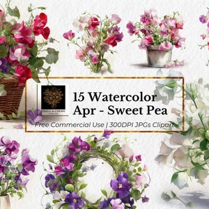 15 avril-pois de senteur fleur de naissance JPG + PNG, clipart aquarelle, fond blanc, agendas, cartes, journaux, scrapbooking, clipart mariage
