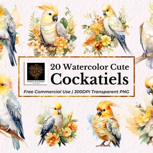 20 Cute Pet Cockatiel Birds Watercolor Clipart, PNG, Uso Comercial GRÁTIS, Cartão, Diários, Scrapbooking, Planejador, Projeto DIY de Férias de Casamento