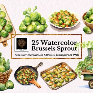 25 clipart dell'acquerello del pacchetto di cavoletti di Bruxelles, PNG trasparente, uso commerciale GRATUITO, clipart vegetariano, cartoline, scrapbooking, pianificatori, diari