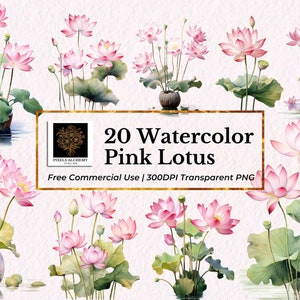 20 roze lotusbloemen aquarel clipart, transparant png, gratis commercieel gebruik, kaarten, ongewenste tijdschriften, scrapbooking, bruiloft clipart