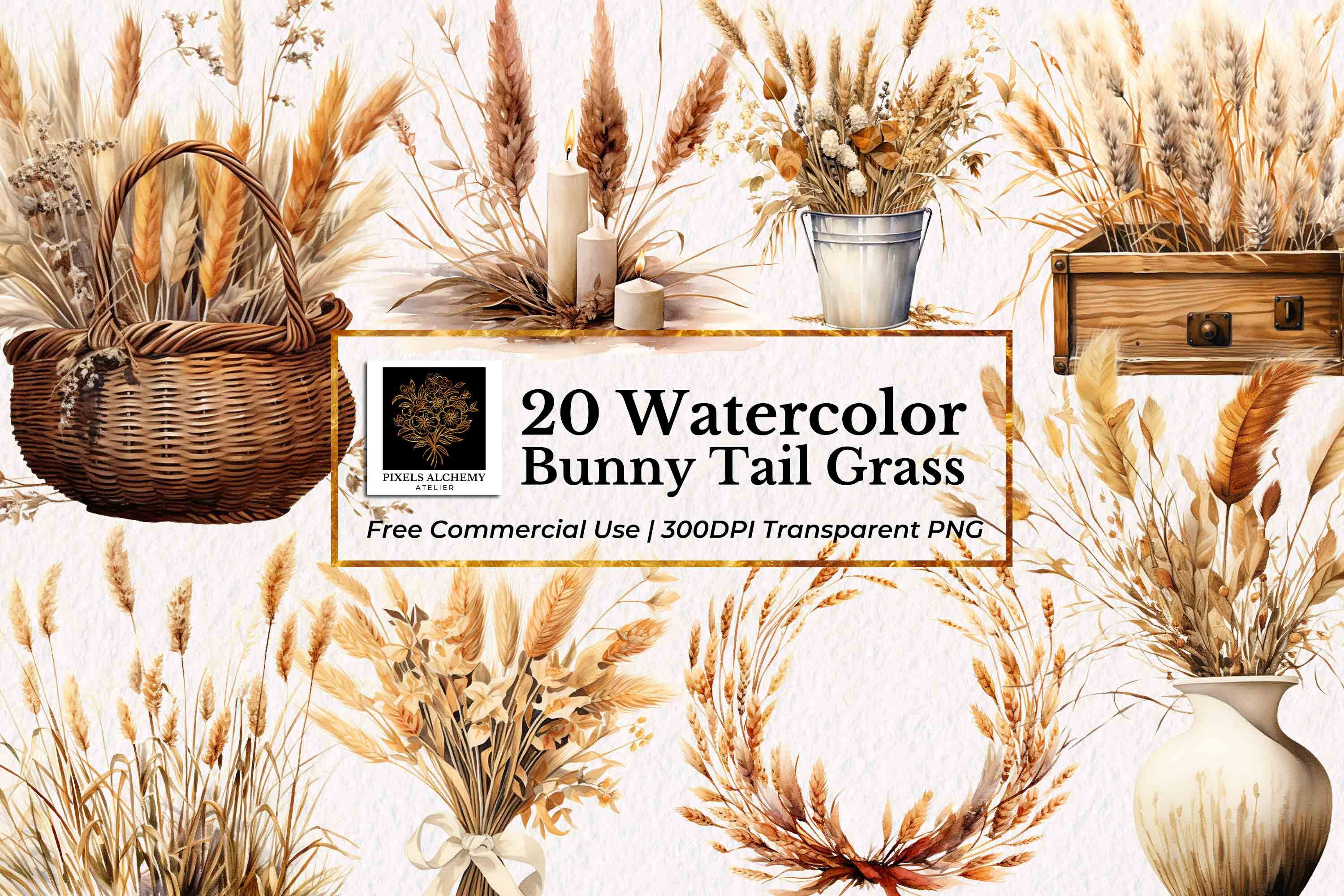 20 Bunny Tail Grass Watercolor Clipart, Transparent PNG, FREE Commercial Use, Planners, Cards, Junk Journals, Scrapbooking, Wedding Clipart