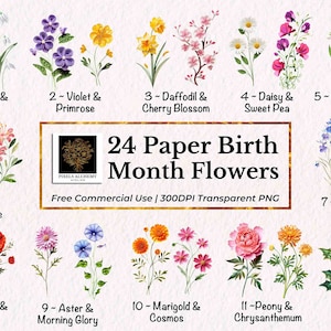 24 papier filigraan stijl geboortemaand bloemen clipart, png, gratis commercieel gebruik, kaart, dagboek, scrapbooking, planner, bruiloft, vakantie, doe-het-zelf
