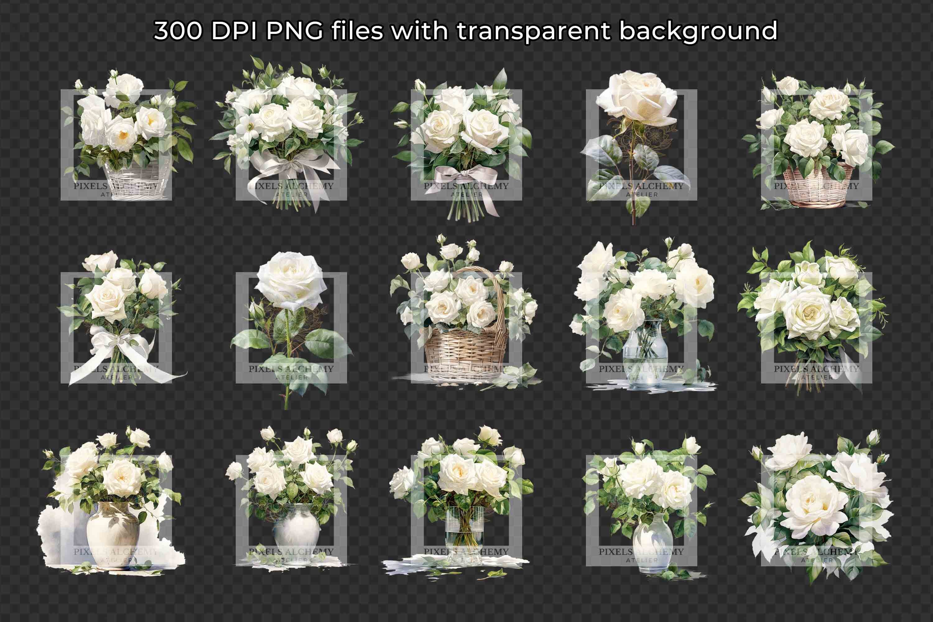 31 White Rose Bundle Watercolor Clipart, Transparent PNG, FREE ...