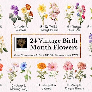 24 Cromolitografia vintage mês de nascimento flores clipart, PNGs, uso comercial GRATUITO, cartão, diário, álbum de recortes, planejador, casamento, feriado