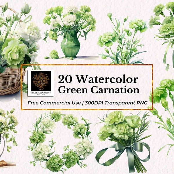 20 Green Carnation Watercolor Clipart, Transparent PNG, FREE Commercial Use, Planners, Cards, Junk Journals, Scrapbooking, Wedding Clipart