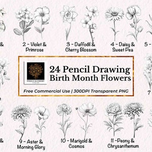 Conjunto de clipart de desenho a lápis de flores de 24 meses de nascimento, PNG, uso comercial GRATUITO, cartões, diários, álbum de recortes, planejador, casamento, feriado, faça você mesmo