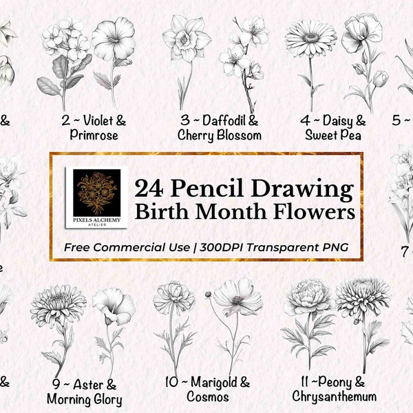 24 Birth Month Flowers Pencil Drawing Clipart Set, PNG, FREE Commercial Use, Cards, Journals, Scrapbooking, Planner, Wedding, Holiday, DIY