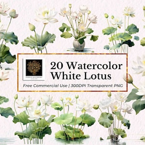 20 枚の白い蓮の水彩画のクリップアート、透明な PNG、無料の商用利用、プランナー、カード、ジャンク ジャーナル、スクラップブック、結婚式のクリップアート