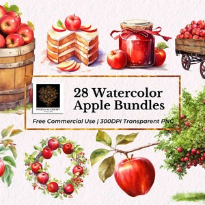 28 Pacotes de maçãs em aquarela Clipart, PNG transparente, uso comercial GRATUITO, planejadores, cartões, diários de lixo, scrapbooking, clipart de frutas