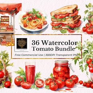 36 tomatenbundel aquarel clipart, transparante png, gratis commercieel gebruik, planners, kaarten, ongewenste tijdschriften, scrapbooking, plantaardige clipart