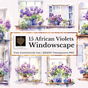 15 clipart de aquarela de janela de violeta africana, flores de nascimento de fevereiro, PNGs, cartões, diários, álbum de recortes, planejador, casamento, projeto DIY