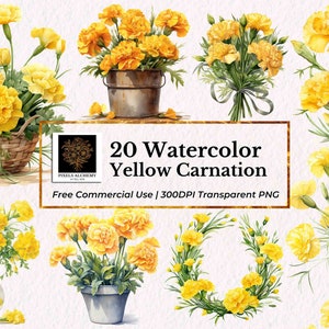 20 gele anjer aquarel clipart, transparante png, gratis commercieel gebruik, planners, kaarten, ongewenste tijdschriften, scrapbooking, bruiloft clipart