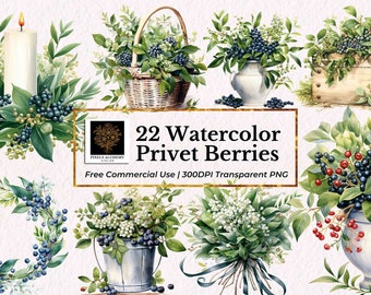 22 Privet Berries Watercolor Clipart, PNGs, FREE Commercial Use, Planners, Card, Junk Journals, Scrapbooking, Wedding and Holiday Invitation